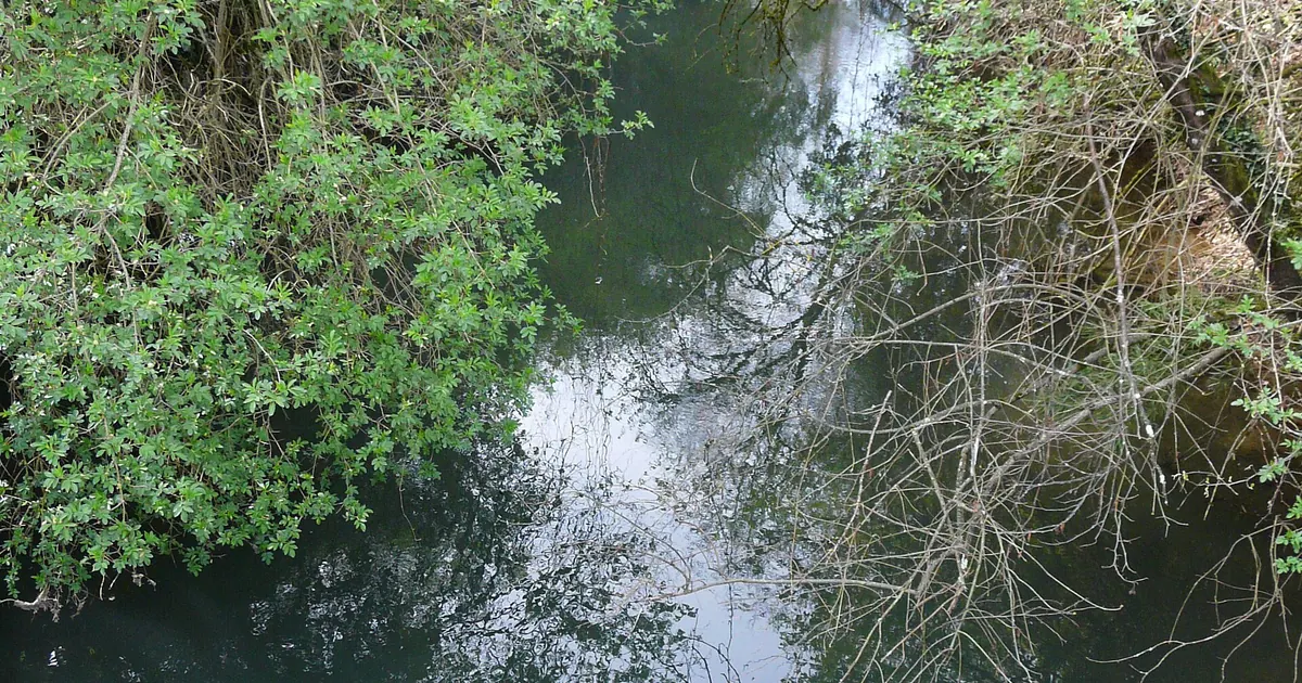 DPE du Foirail à Bergerac : bâti ancien, étiquettes et enjeux immobiliers — Bergerac